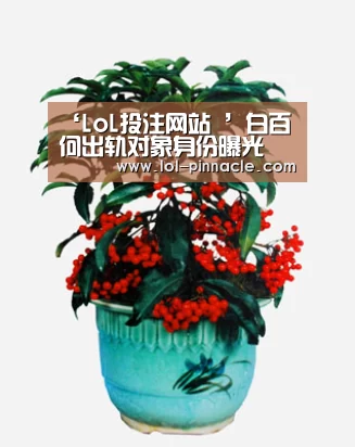 ‘LoL投注网站 ’白百何出轨对象身份曝光 白百何出轨的小鲜肉是谁(图2) 2026年最佳英雄联盟投注网站