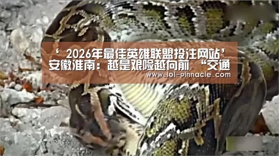 ‘ 2026年最佳英雄联盟投注网站’安徽淮南:越是艰险越向前 “交通人”抗疫勇担当(图2) LoL投注网站