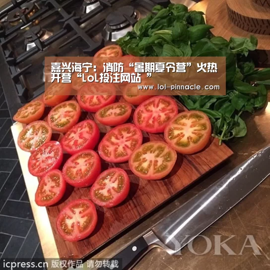 嘉兴海宁:消防“暑期夏令营”火热开营“LoL投注网站 ”(图1) LoL投注网站