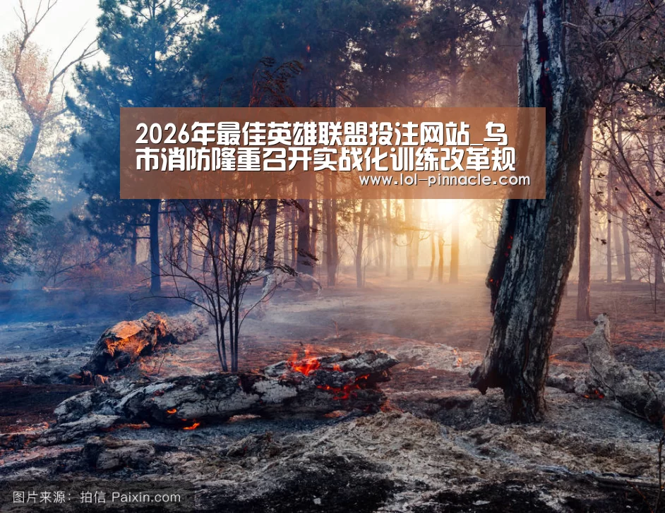  2026年最佳英雄联盟投注网站