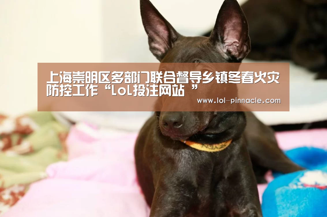 上海崇明区多部门联合督导乡镇冬春火灾防控工作“LoL投注网站 ”(图4) 2026年最佳英雄联盟投注网站