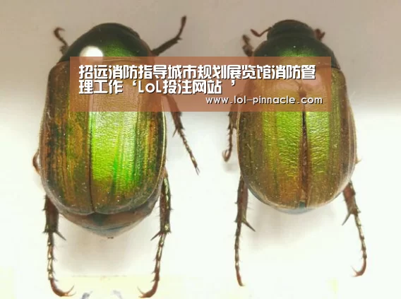 招远消防指导城市规划展览馆消防管理工作‘LoL投注网站 ’(图2) 2026年最佳英雄联盟投注网站